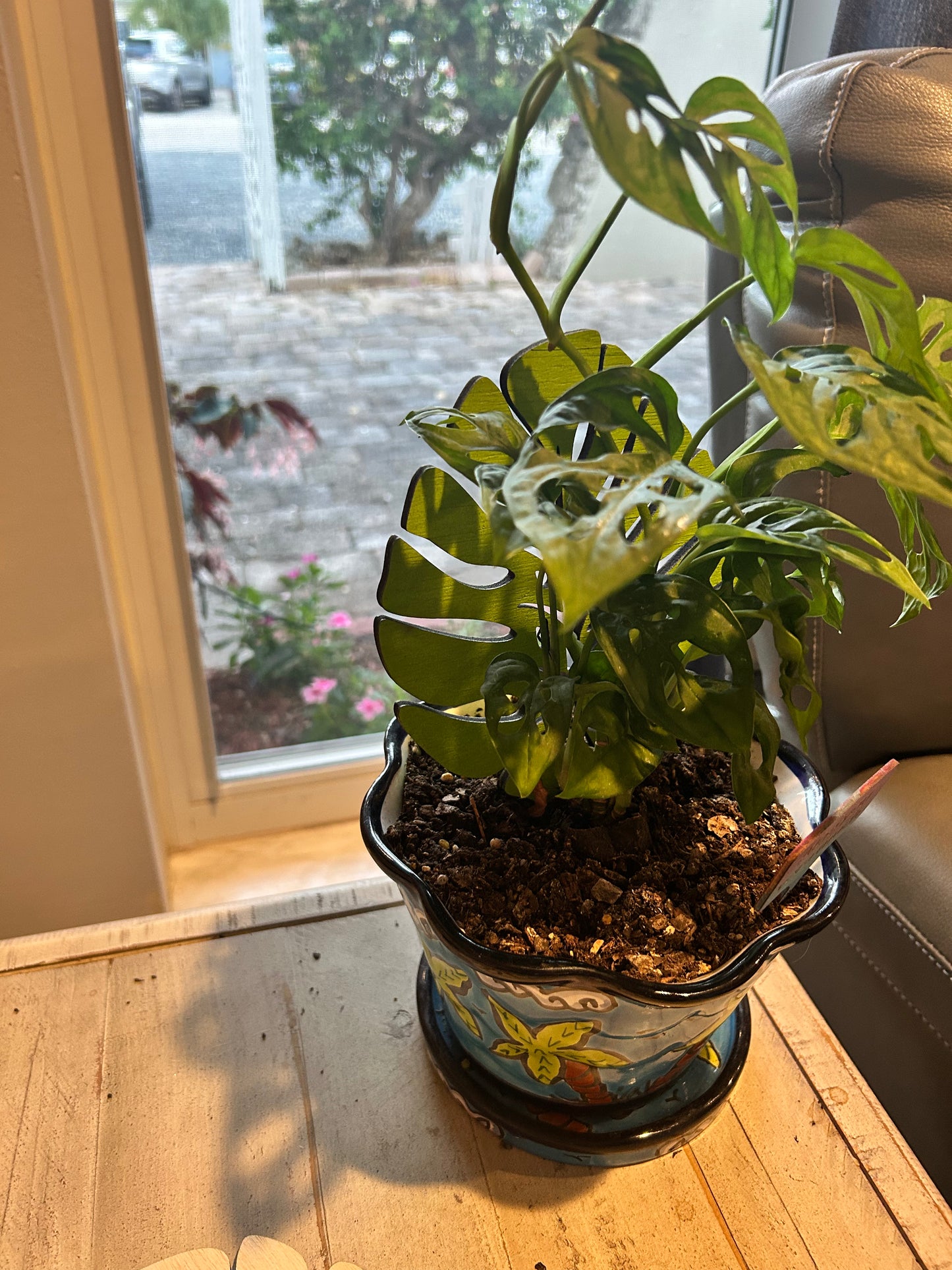 Plant Trellis