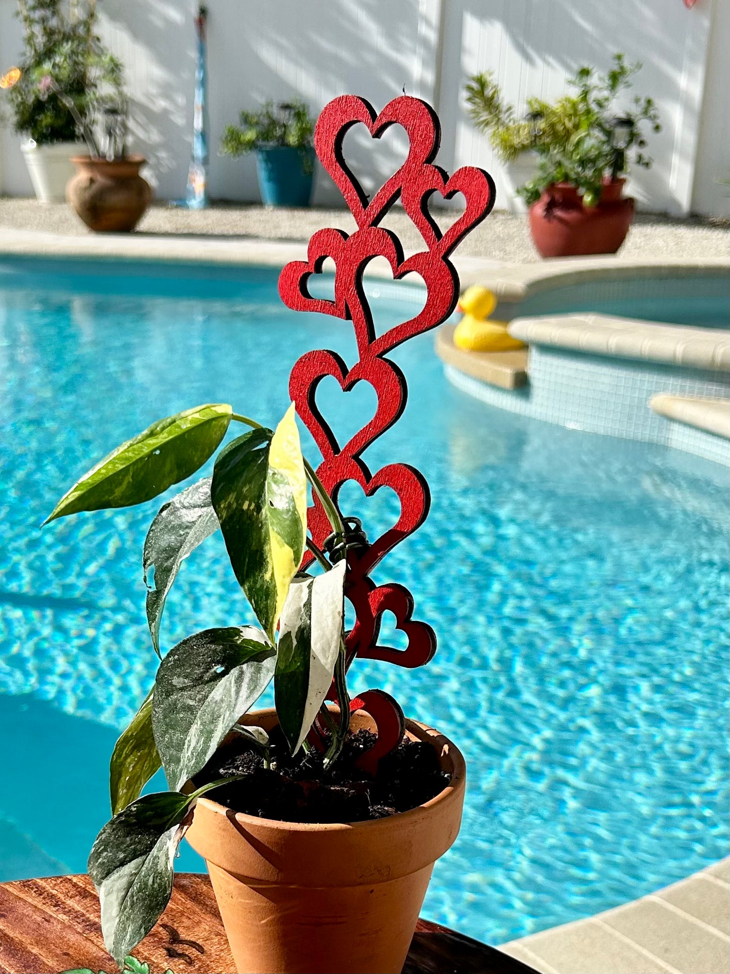 Plant Trellis