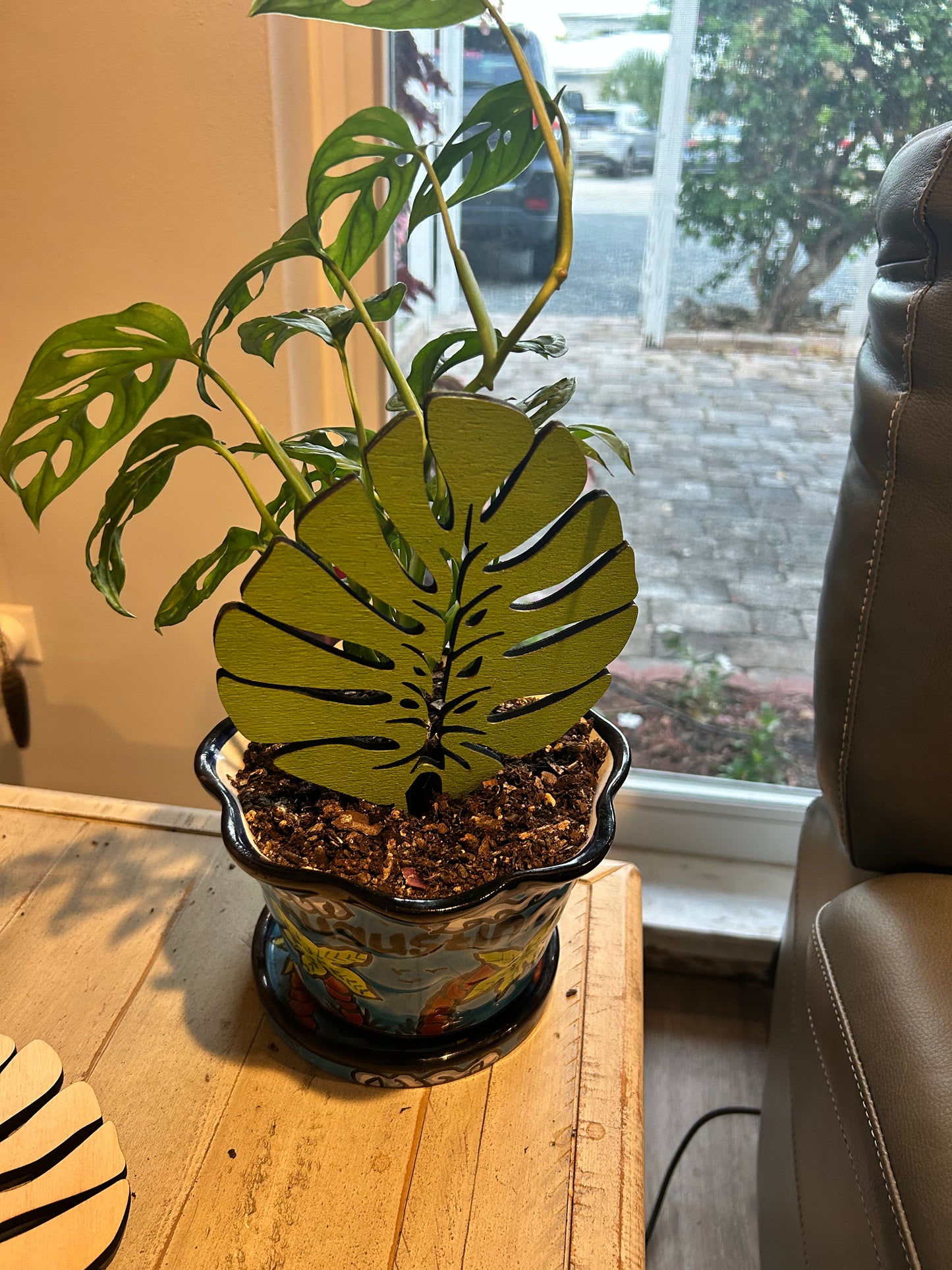 Plant Trellis
