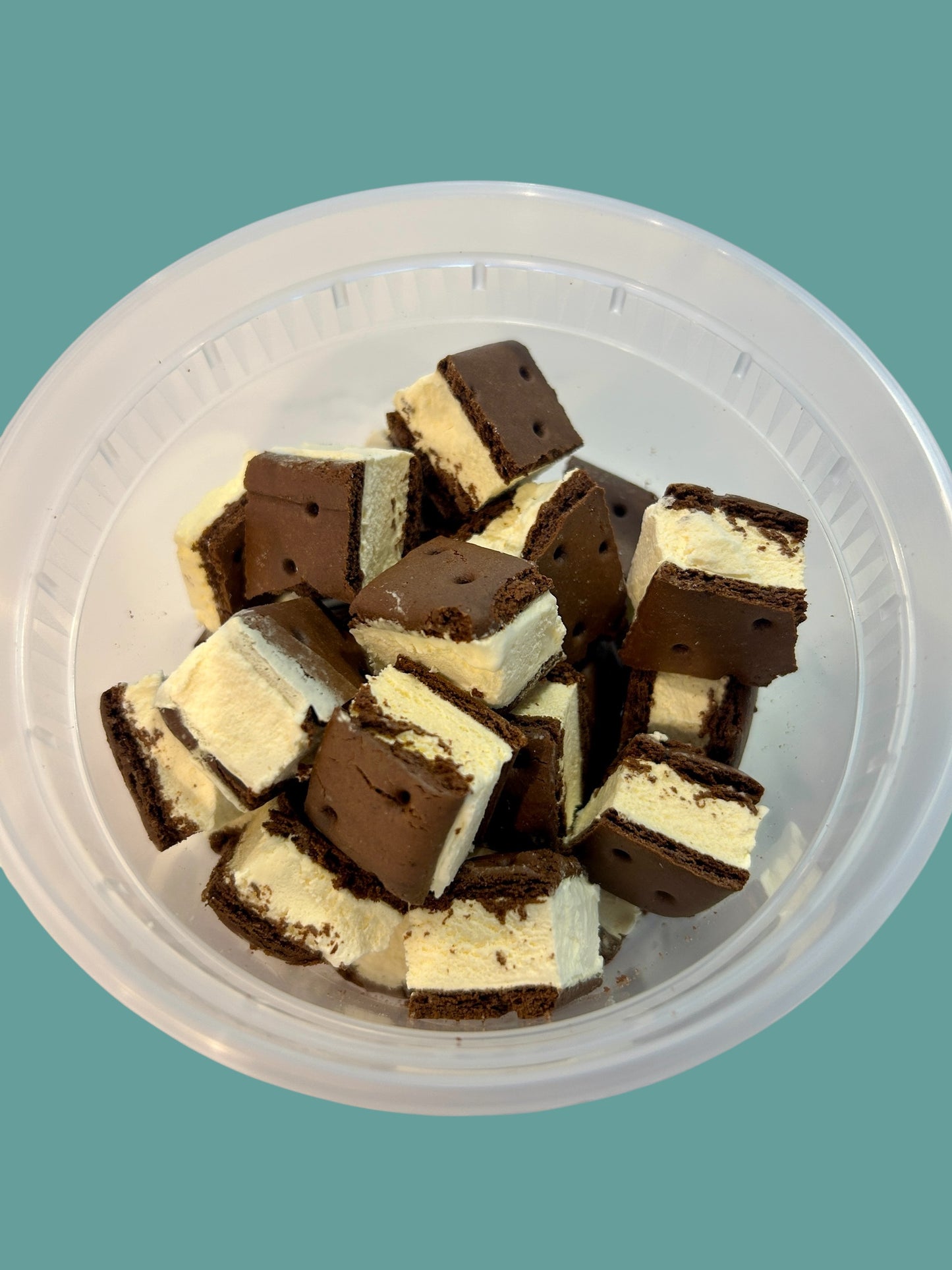 Sandbar Sammies| Freeze-Dried Vanilla Ice Cream Sandwiches