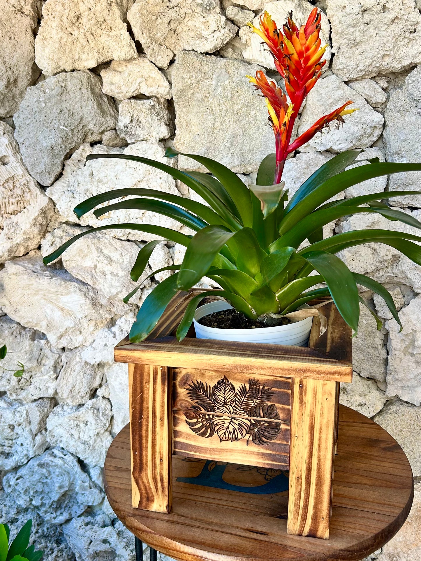 Wooden Planter Boxes Engraved & Torched