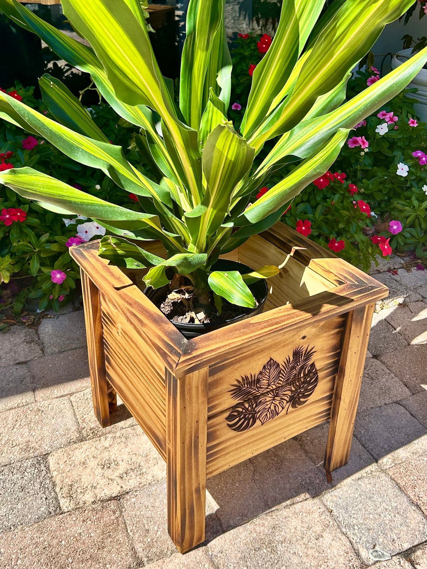 Wooden Planter Boxes Engraved & Torched