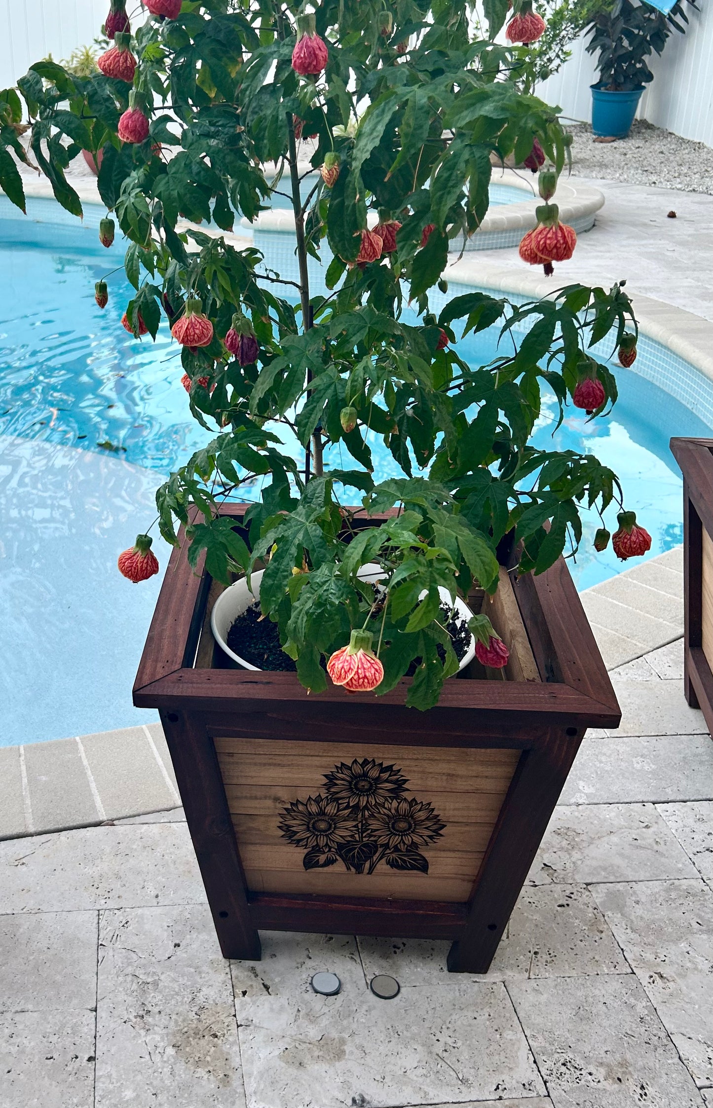 Wooden Planter Box Engraved