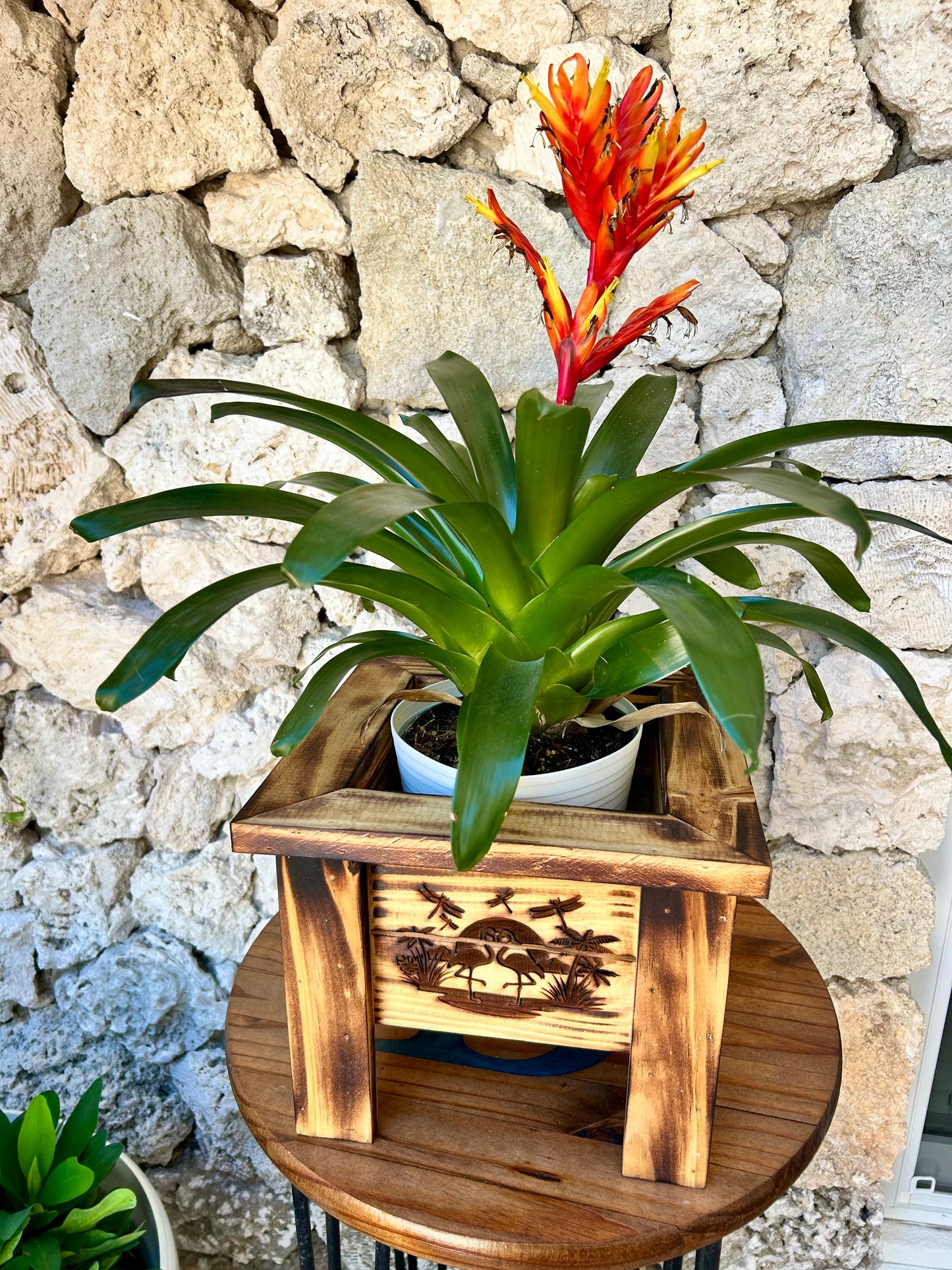 Wooden Planter Boxes Engraved & Torched