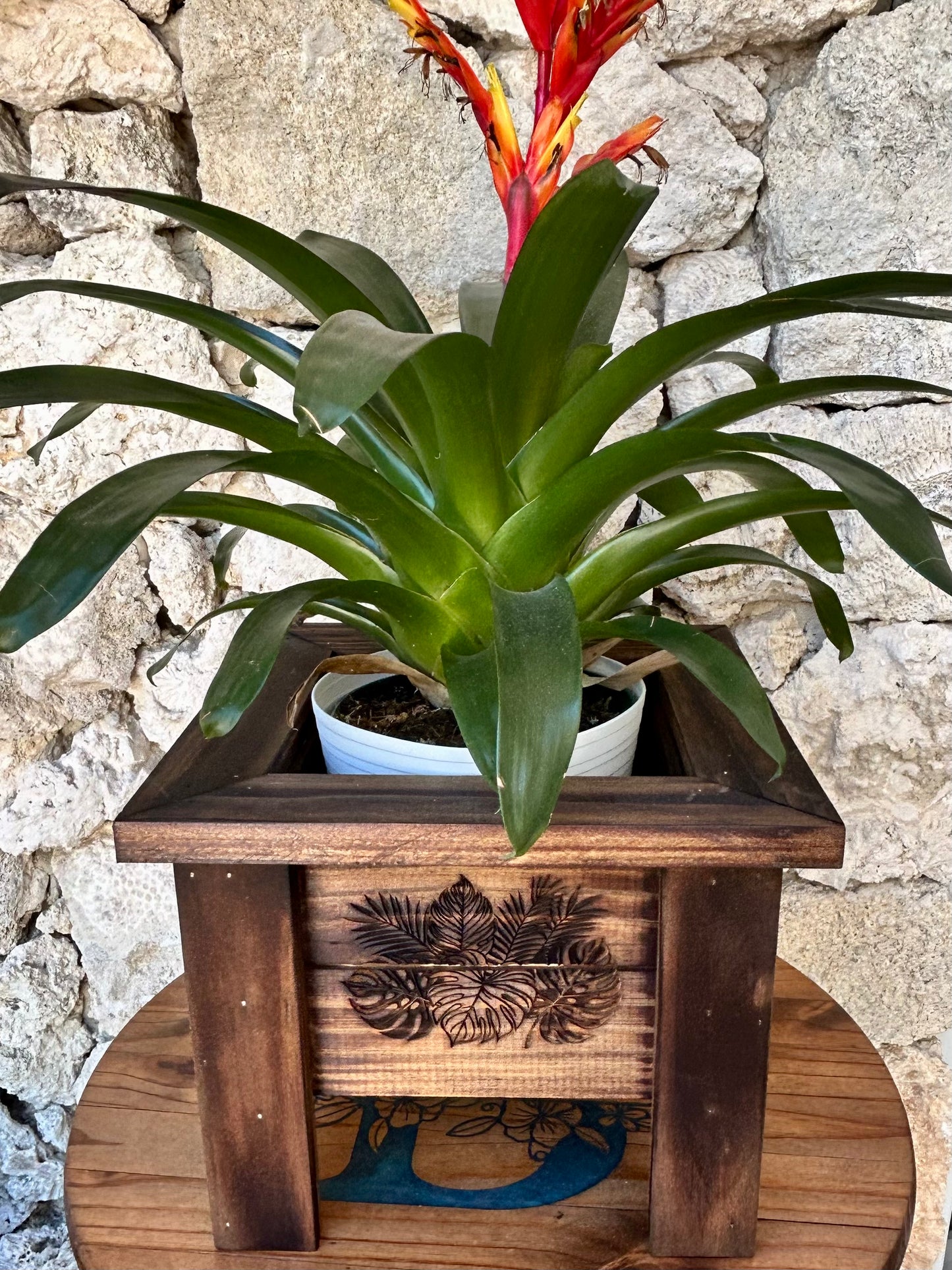 Wooden Planter Boxes Engraved & Torched