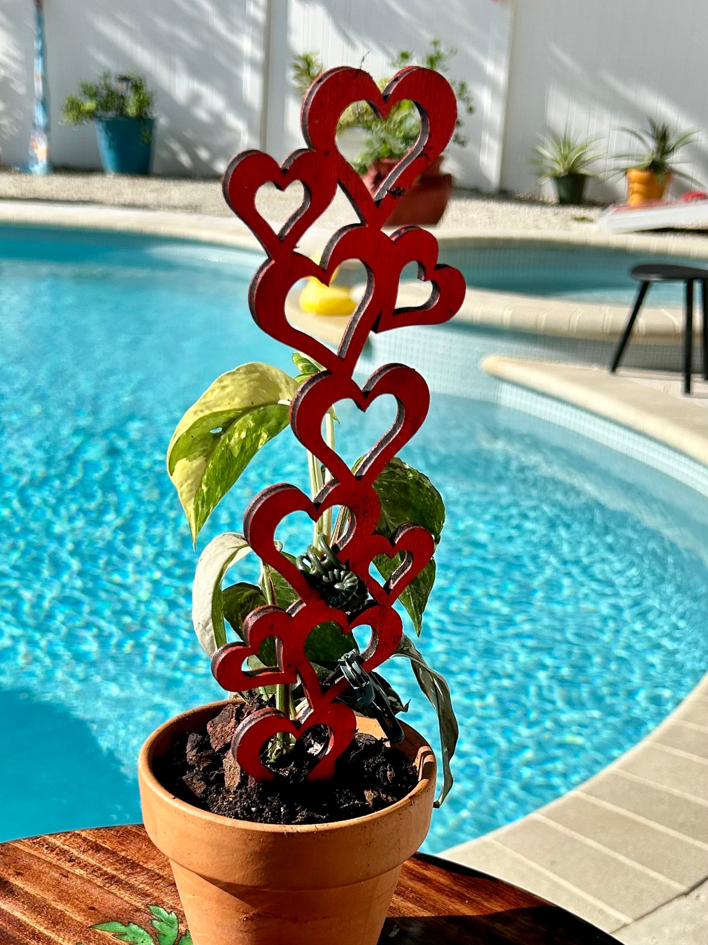 Plant Trellis