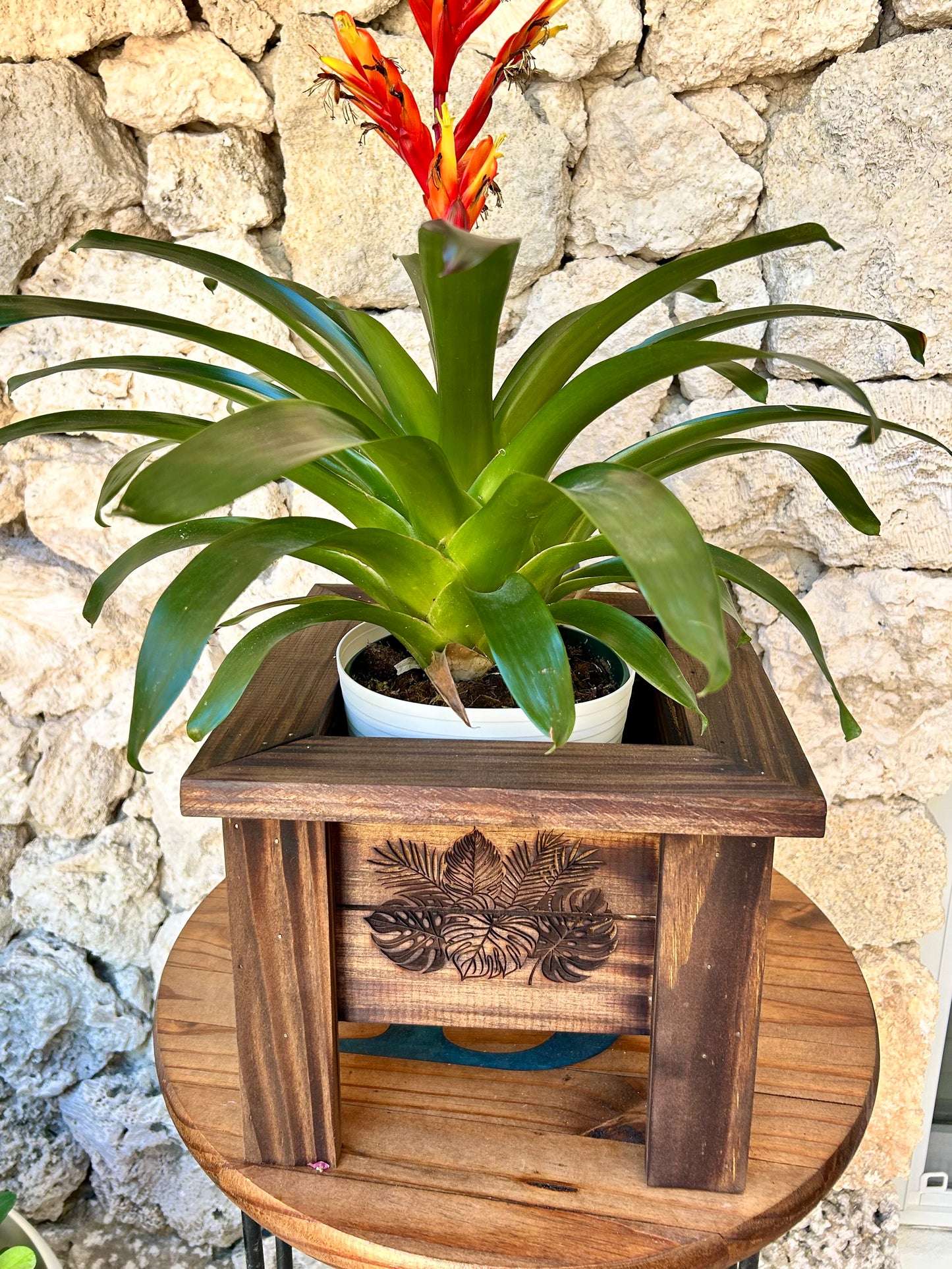 Wooden Planter Boxes Engraved & Torched
