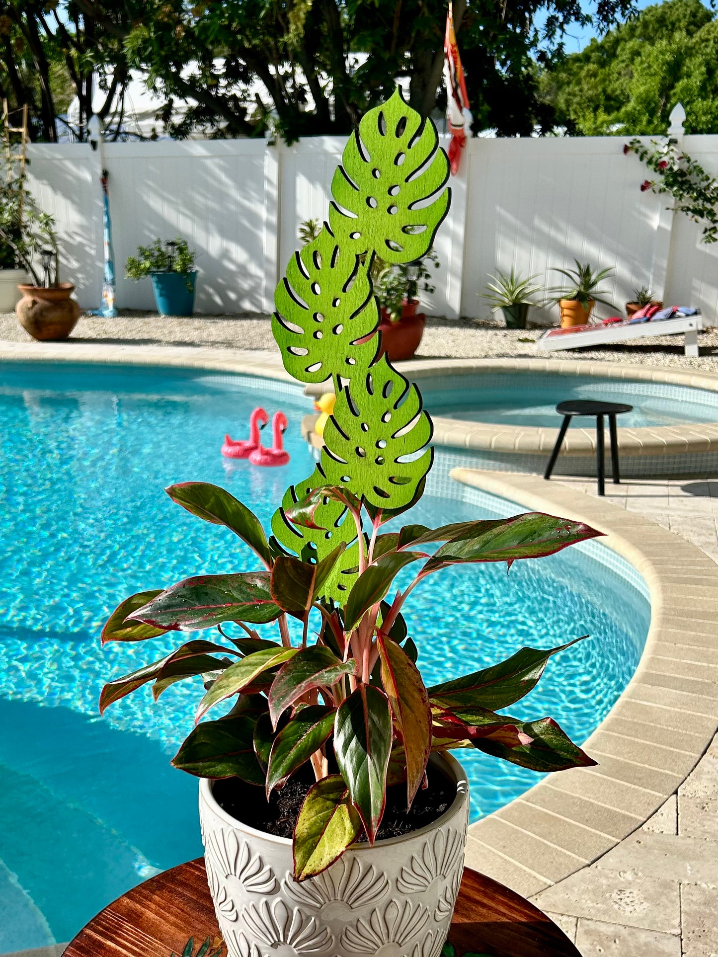 Plant Trellis