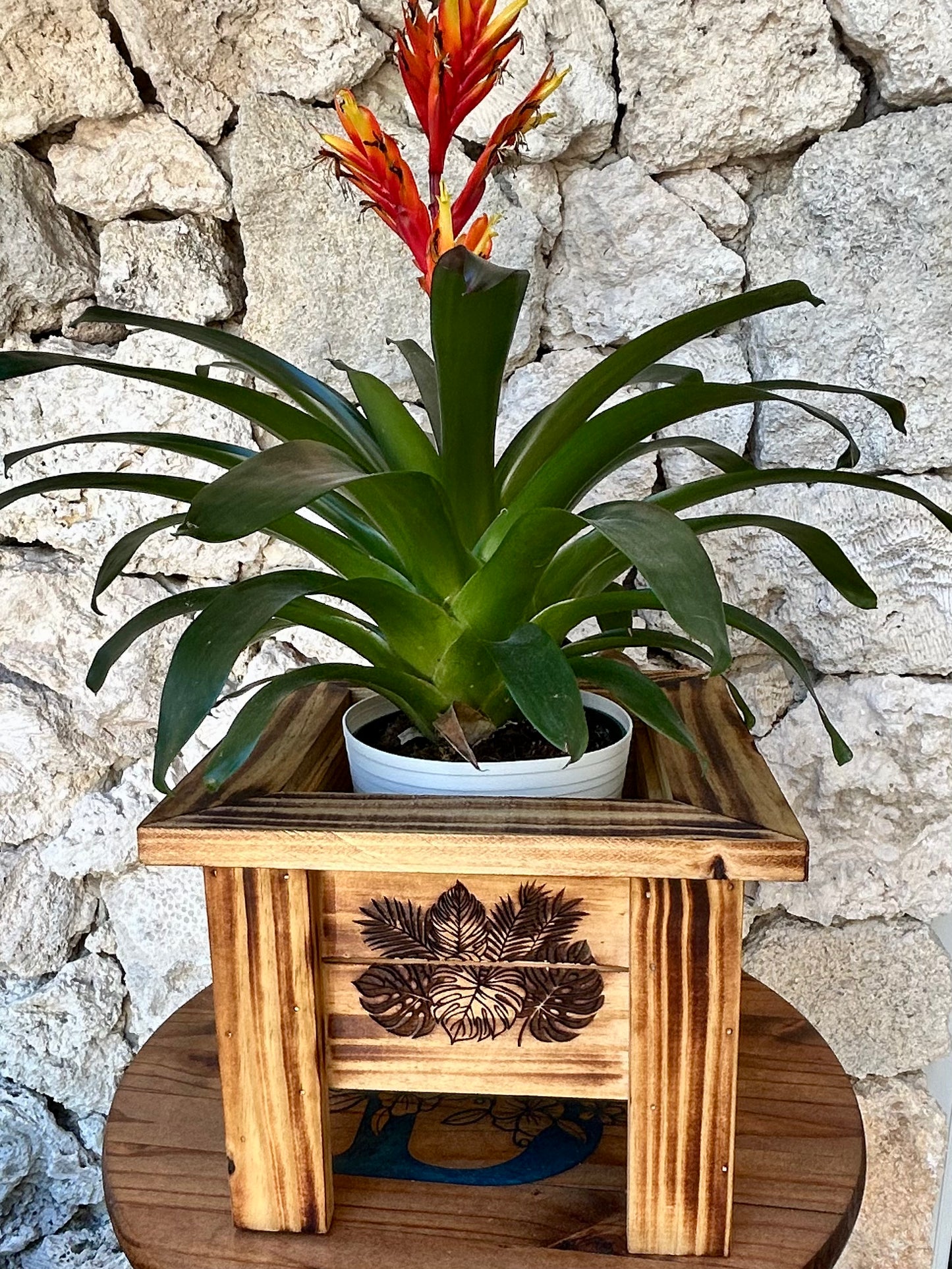 Wooden Planter Boxes Engraved & Torched