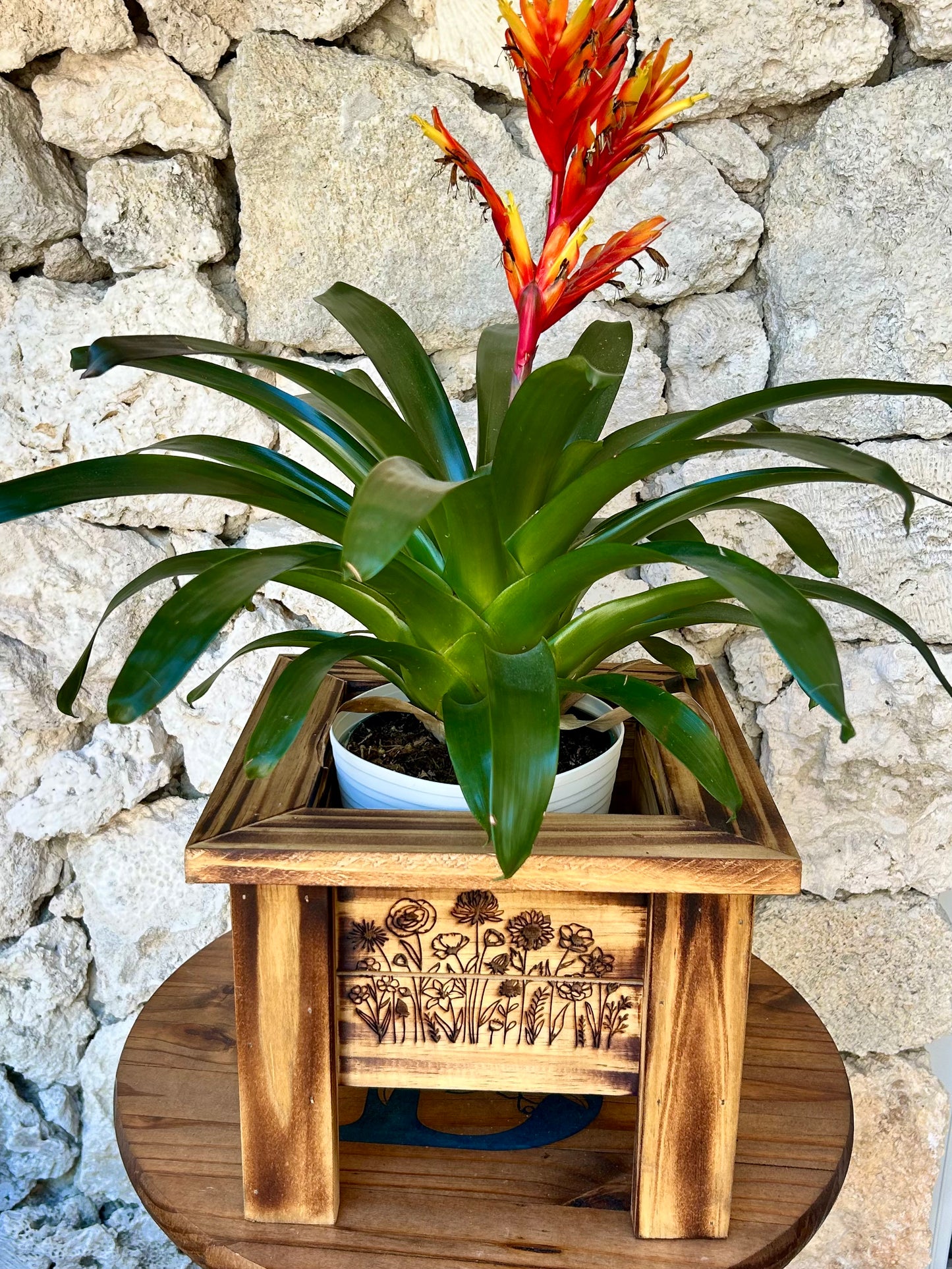 Wooden Planter Boxes Engraved & Torched