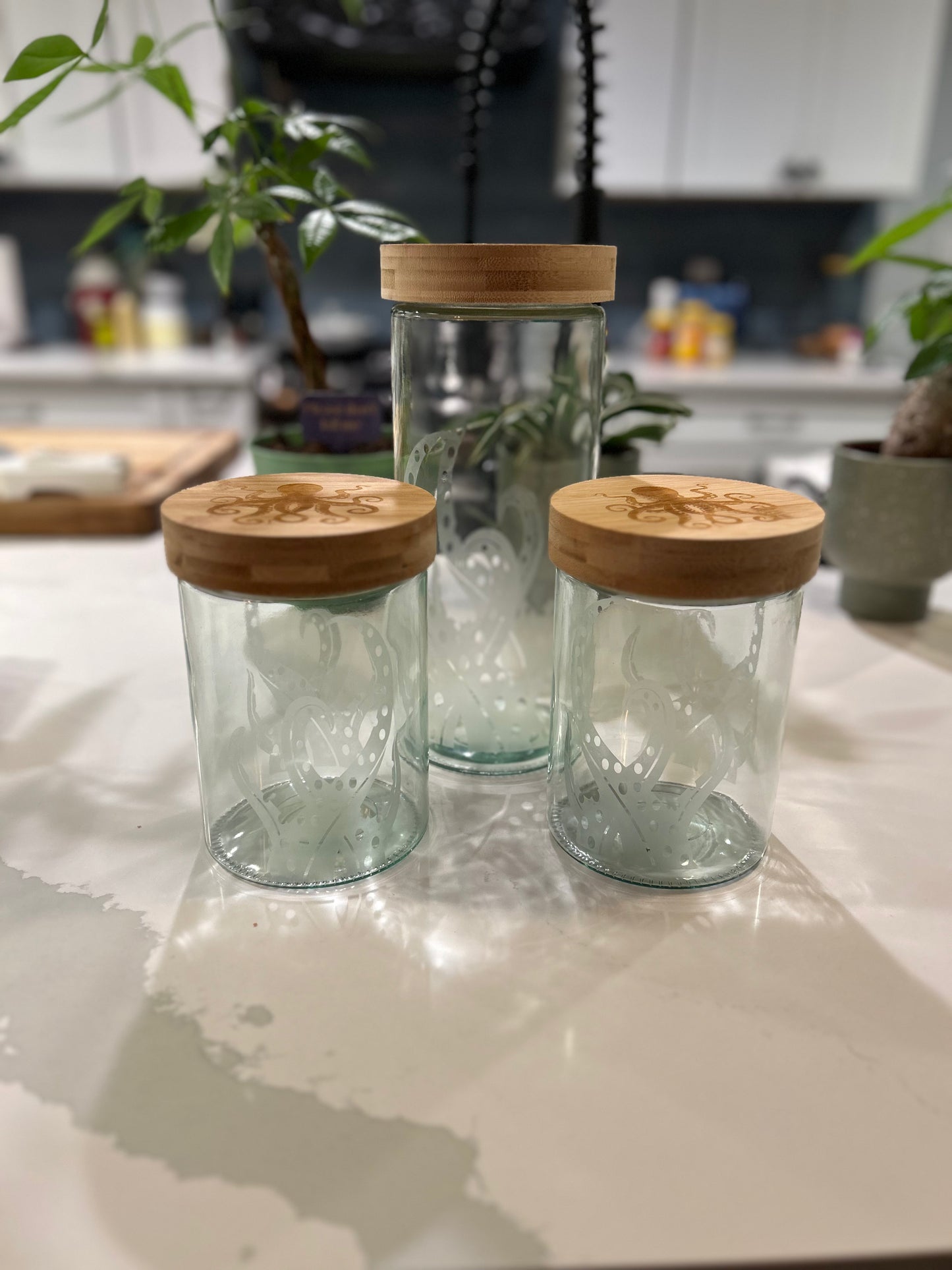 Glass Storage Containers