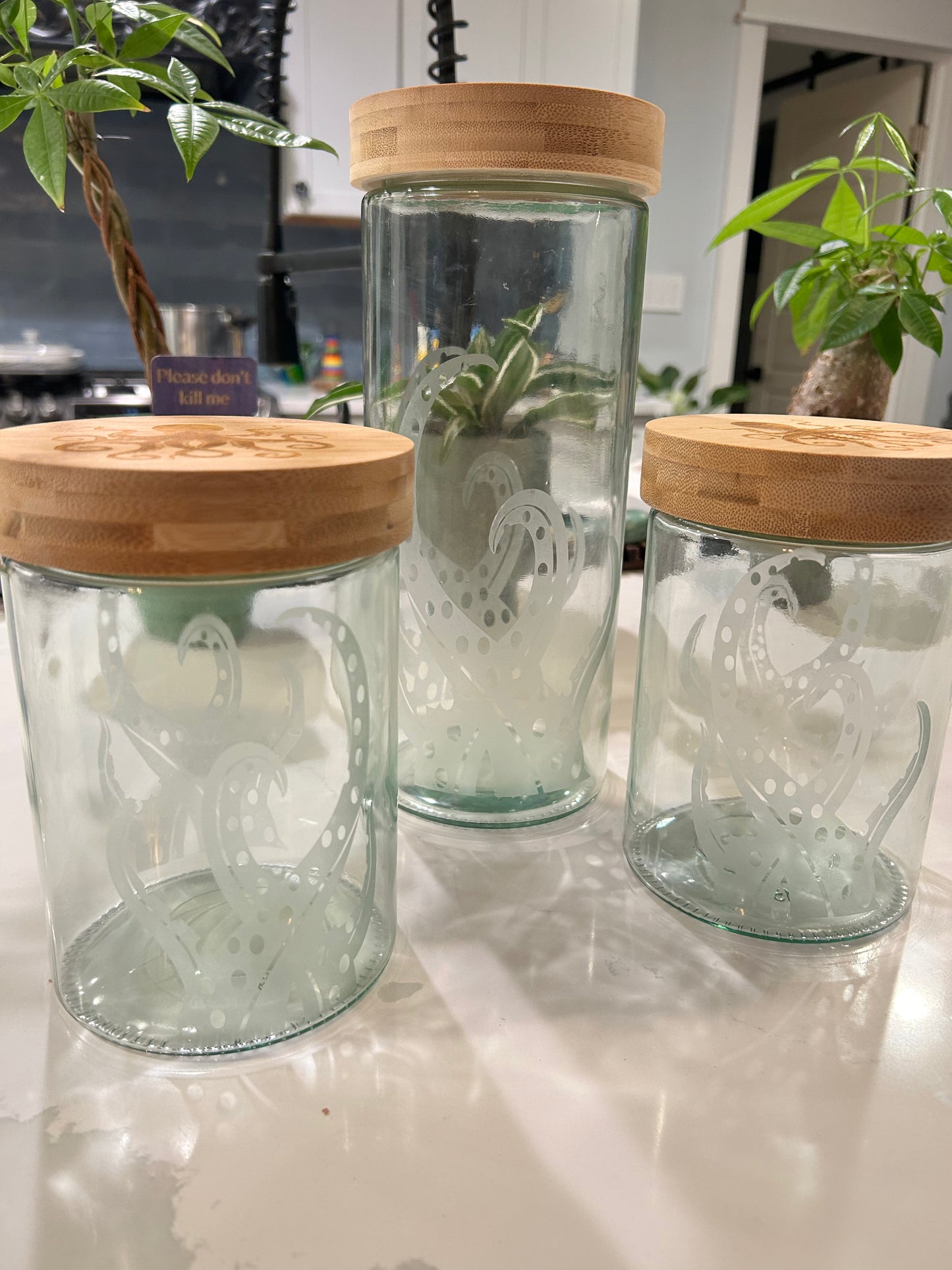 Glass Storage Containers