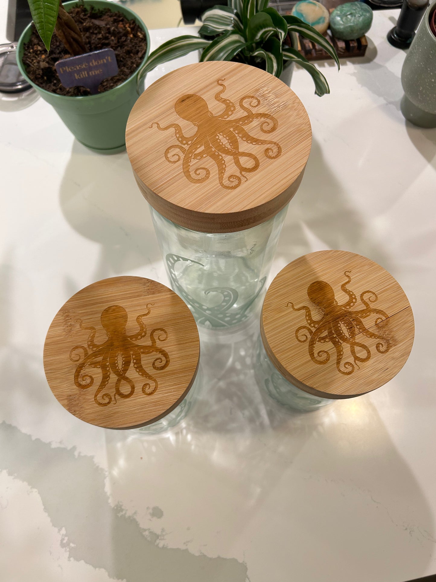 Glass Storage Containers