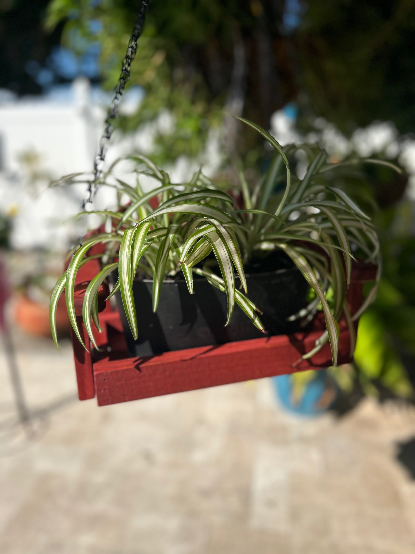 Porch Swing Planter/Squirrel Feeder