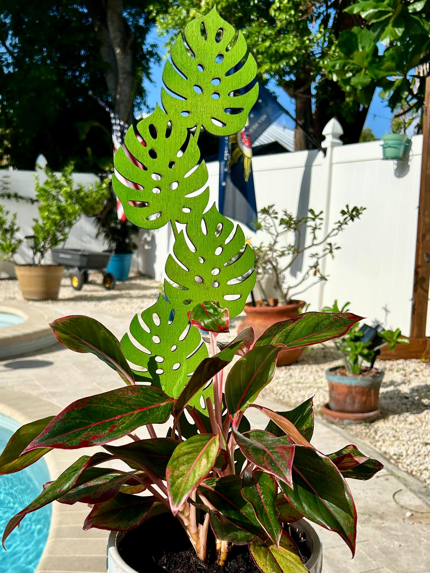 Plant Trellis