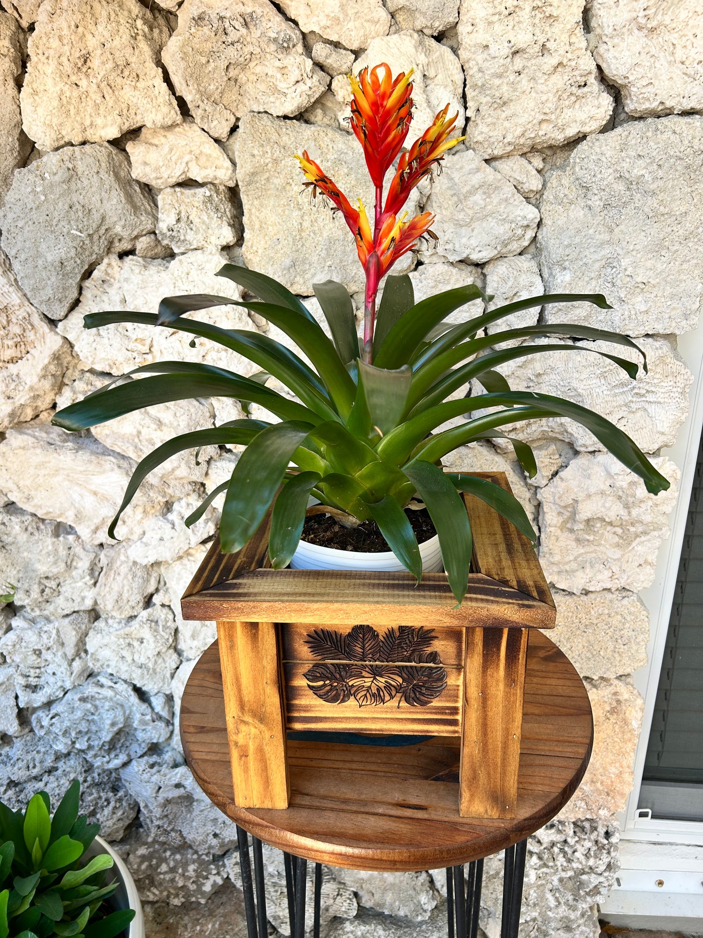 Wooden Planter Boxes Engraved & Torched