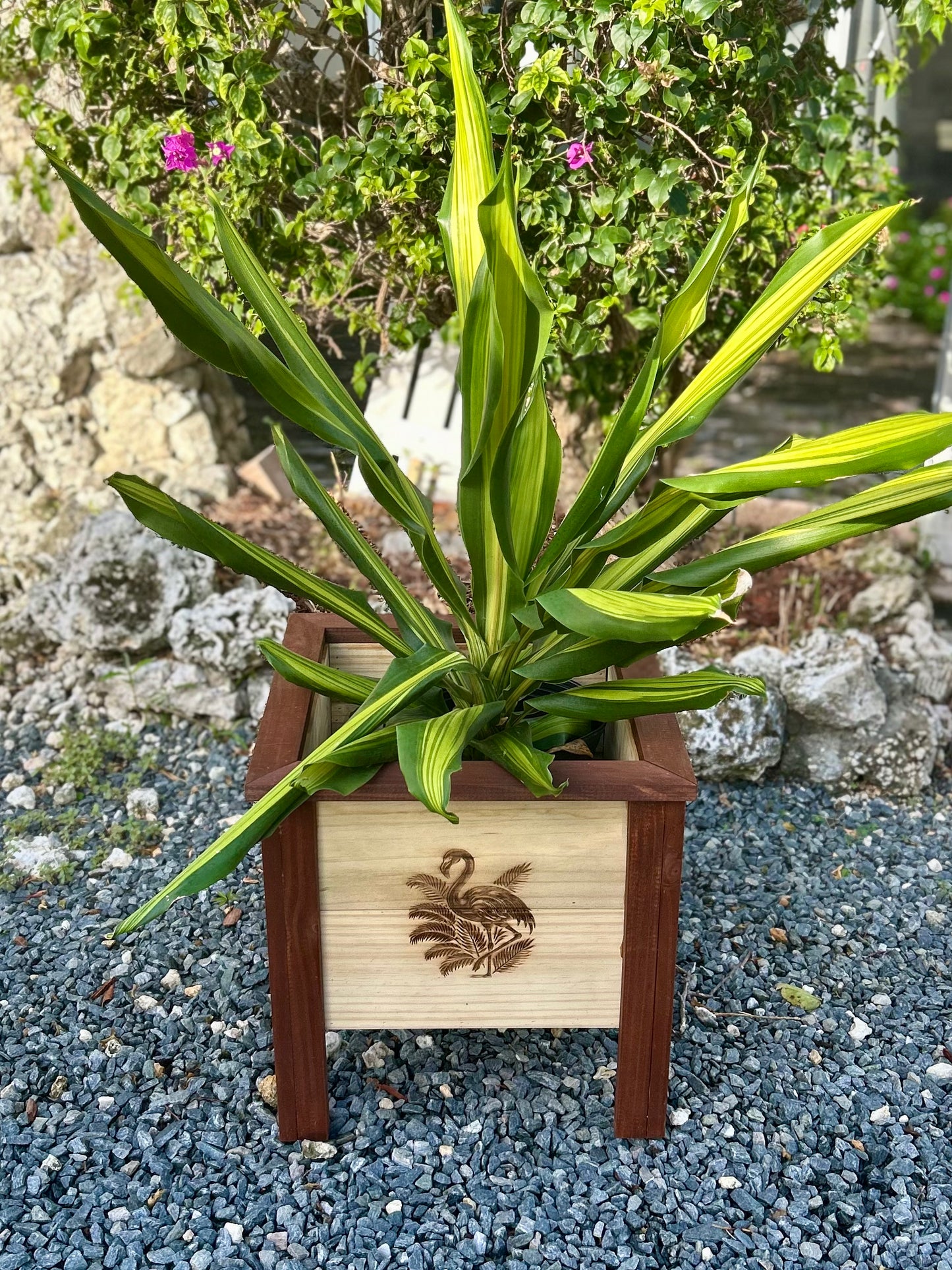 Wooden Planter Box Engraved