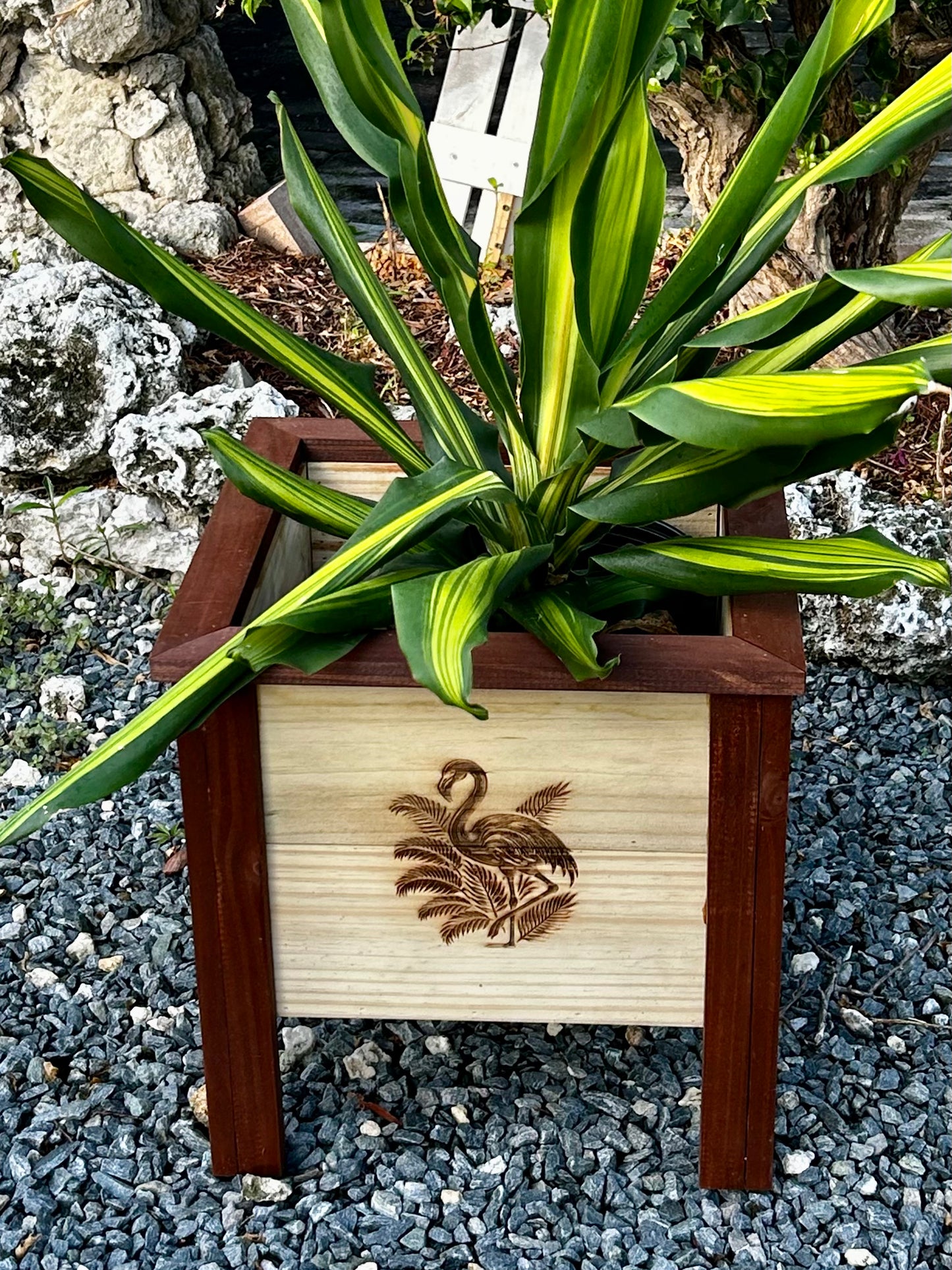 Wooden Planter Box Engraved
