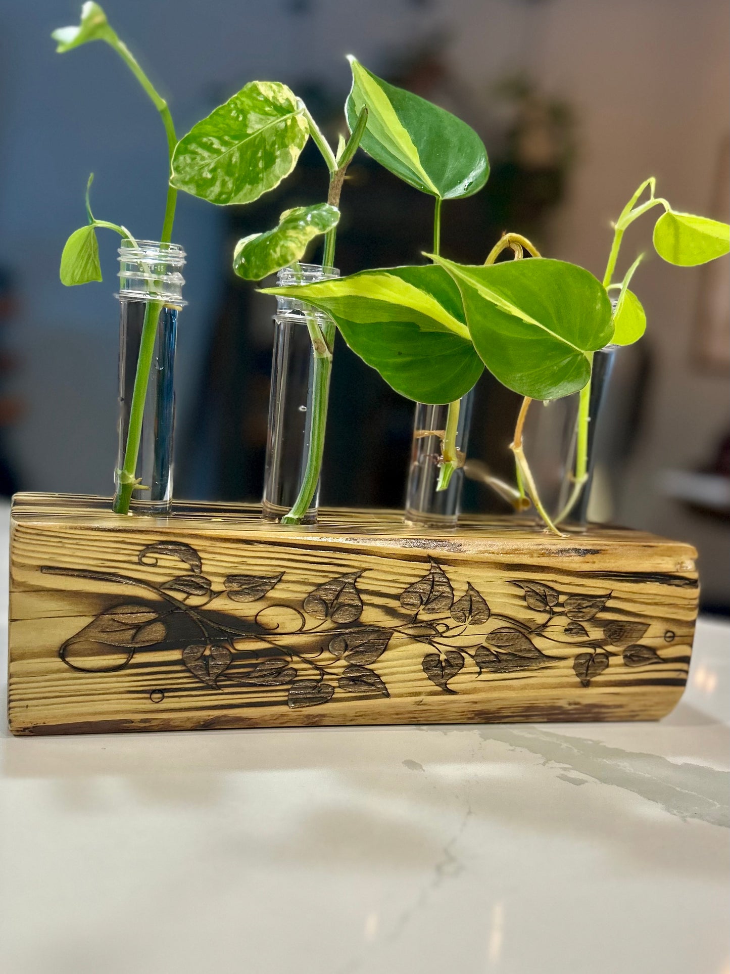 Engraved Propagation Station