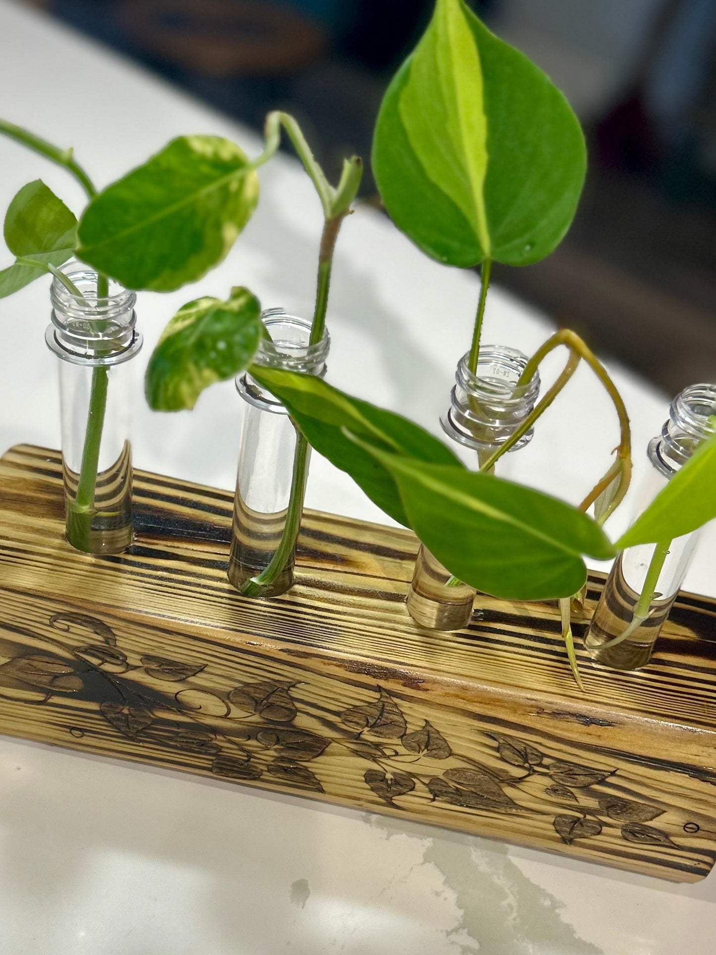 Engraved Propagation Station