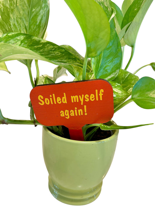 Wooden Plant Signs