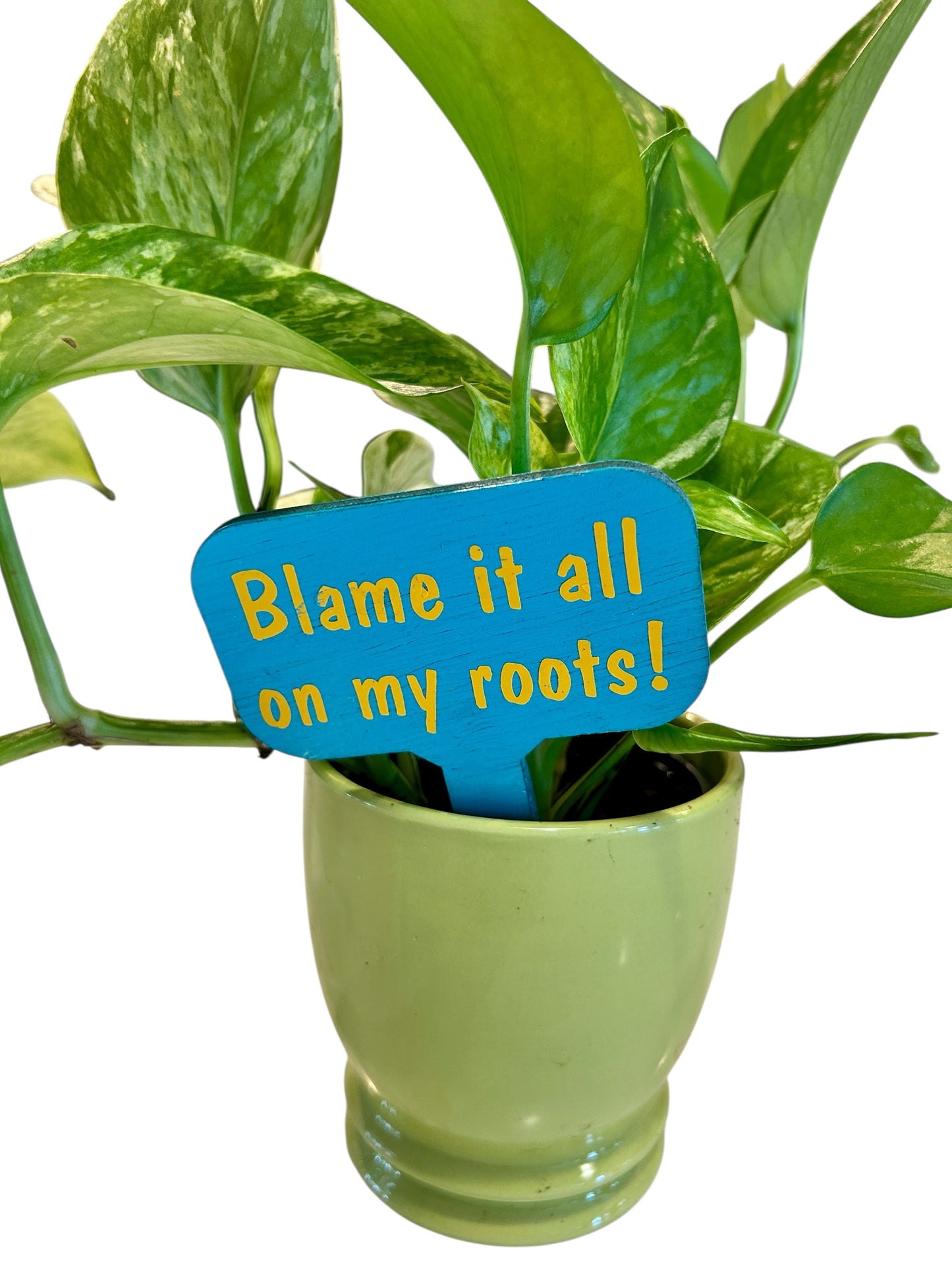 Wooden Plant Signs