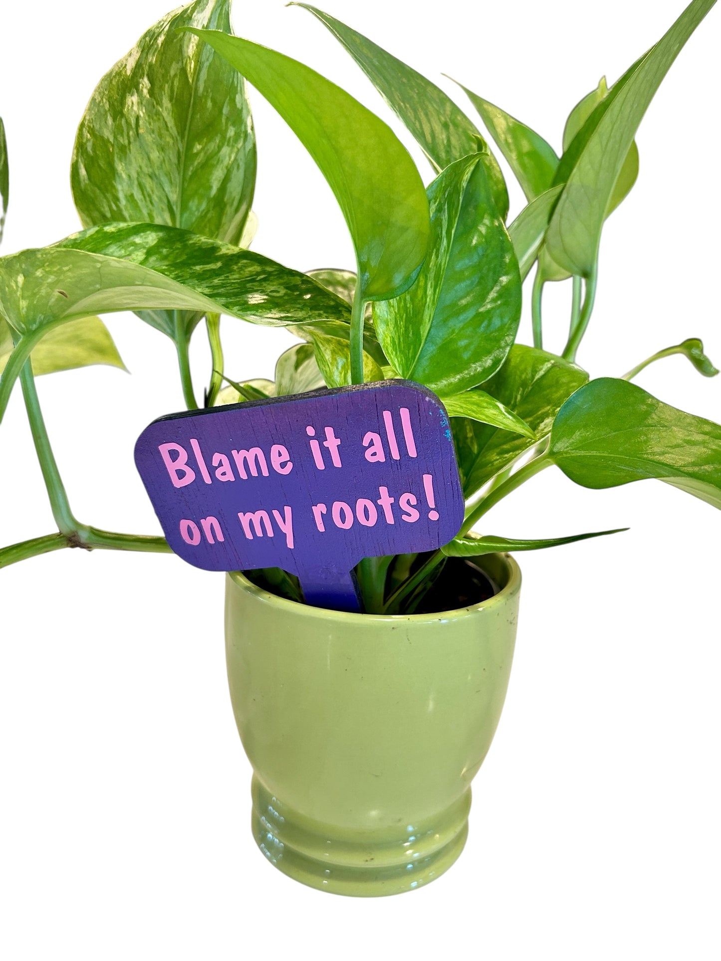 Wooden Plant Signs