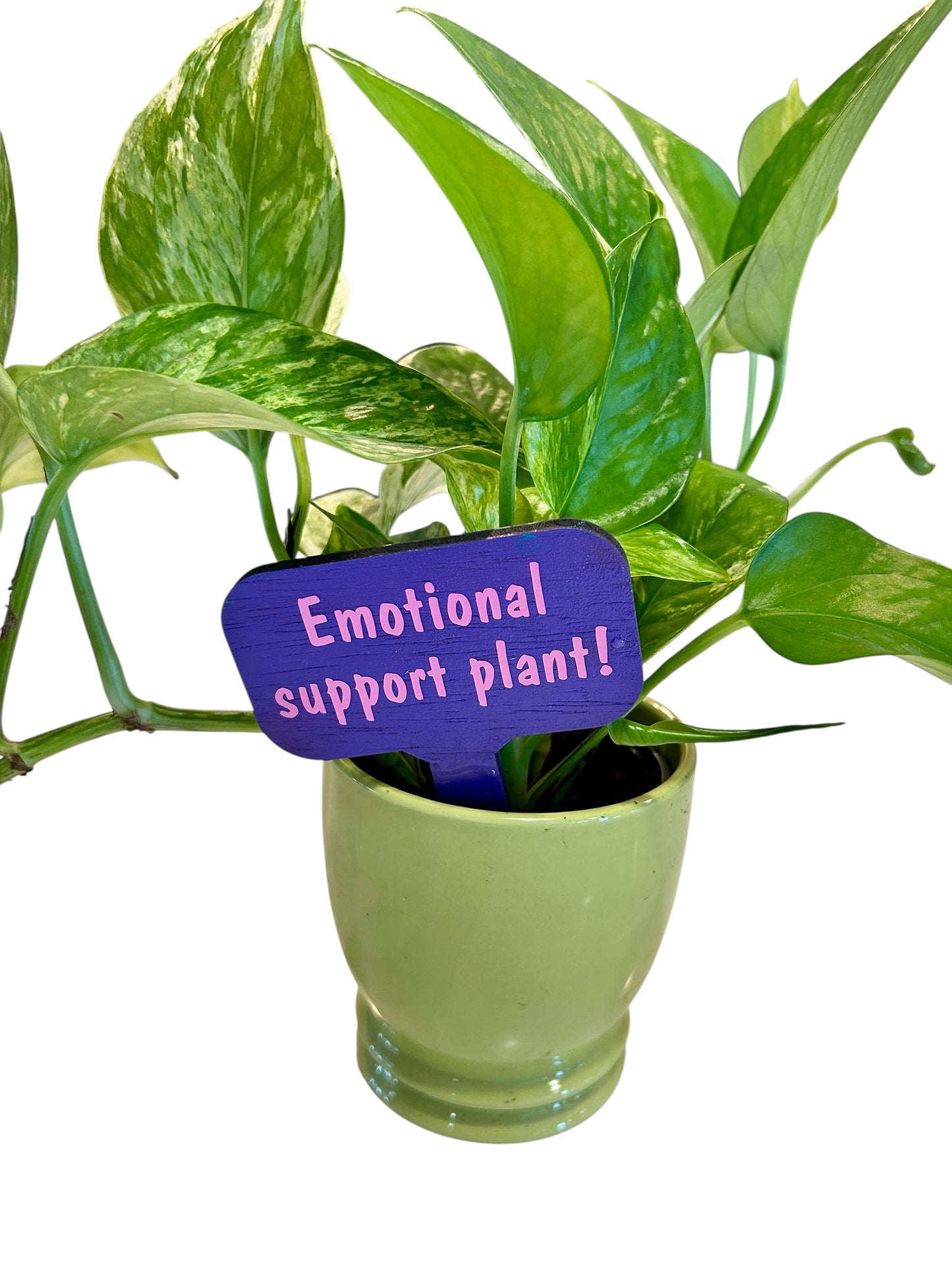 Wooden Plant Signs