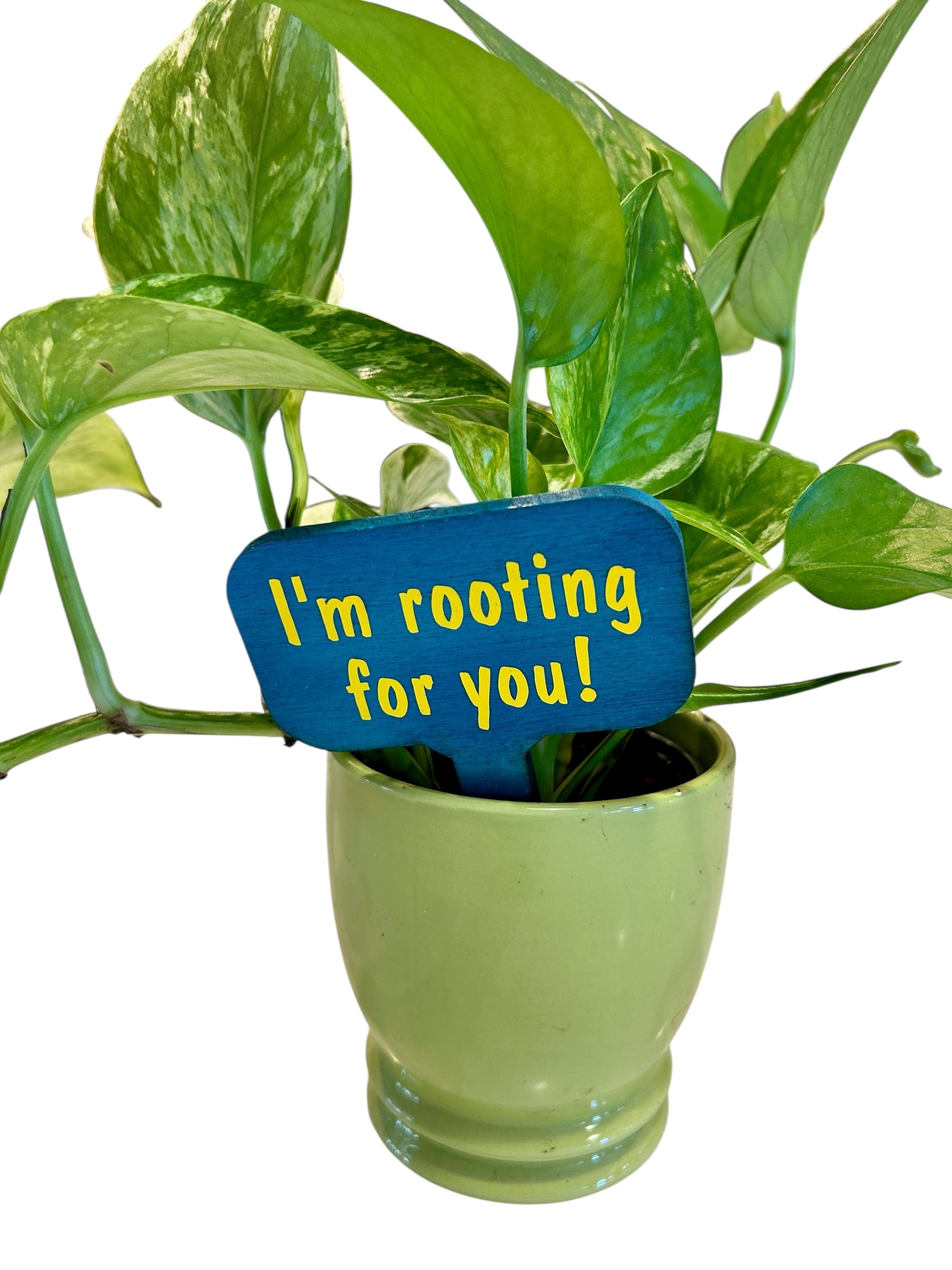 Wooden Plant Signs