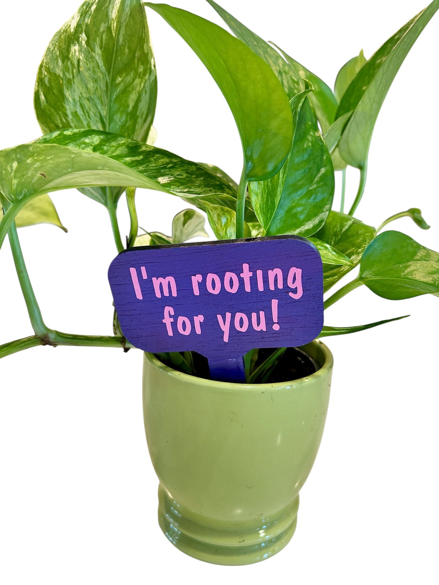 Wooden Plant Signs