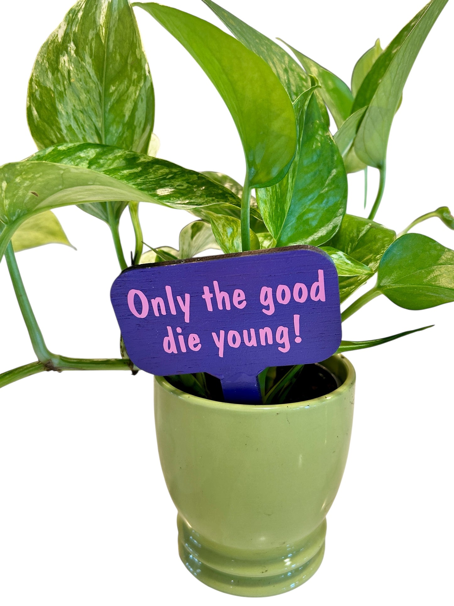 Wooden Plant Signs
