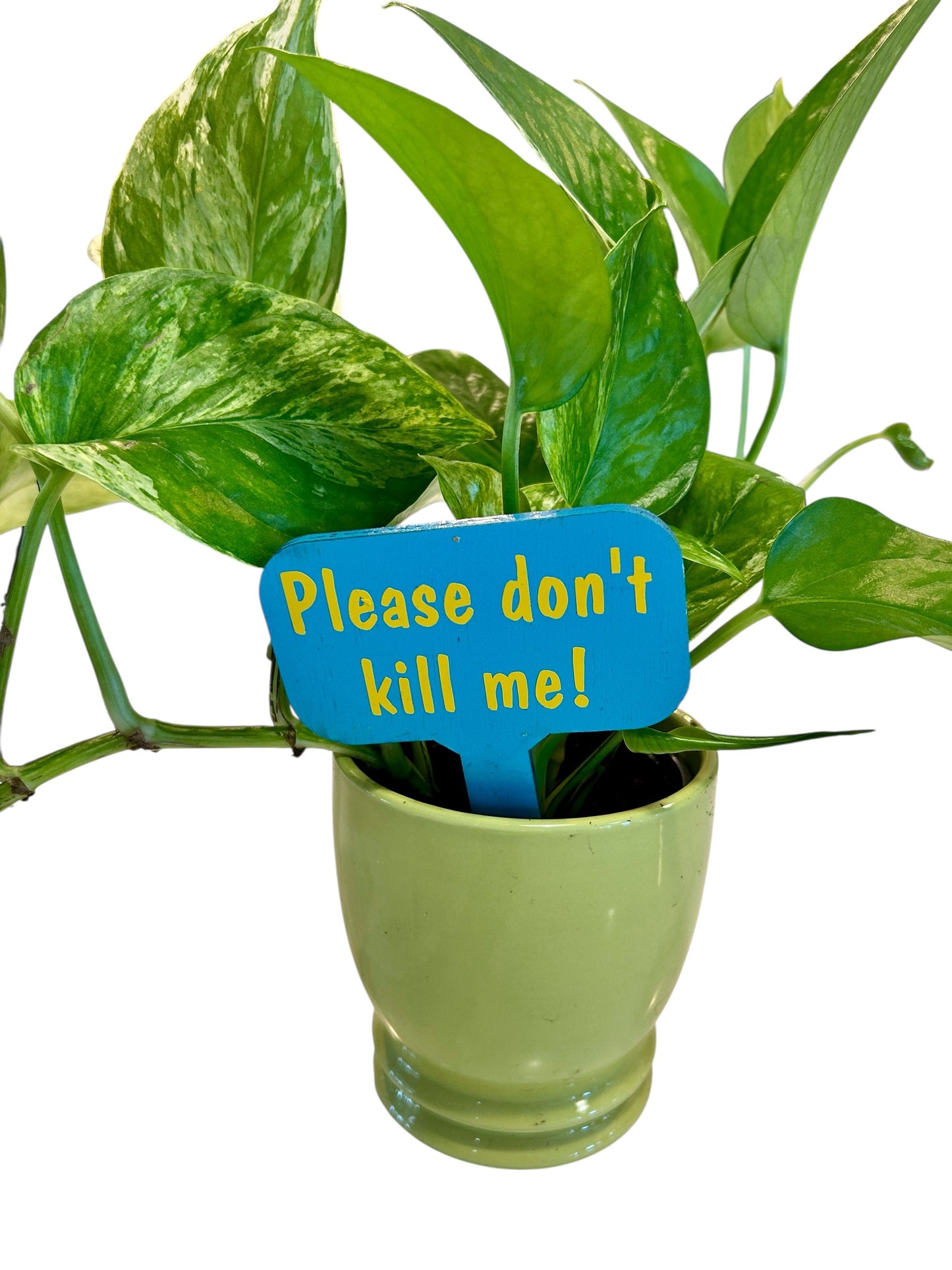 Wooden Plant Signs