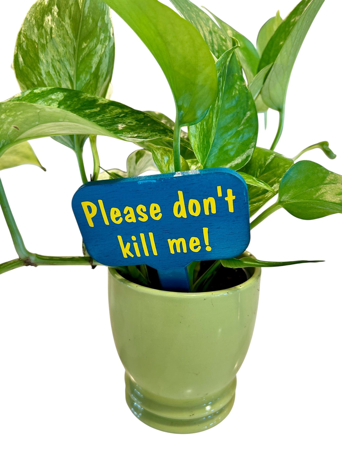 Wooden Plant Signs