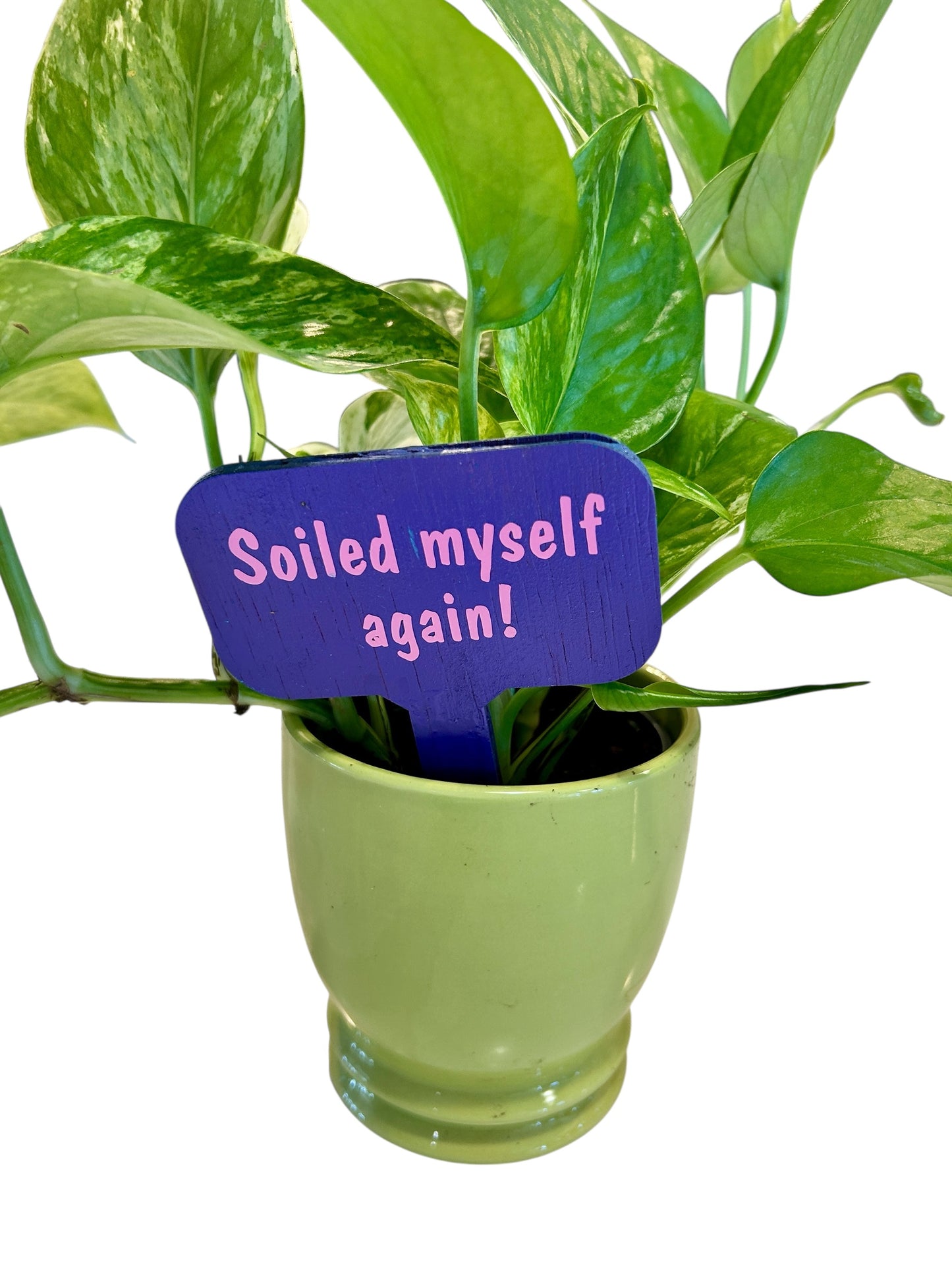 Wooden Plant Signs