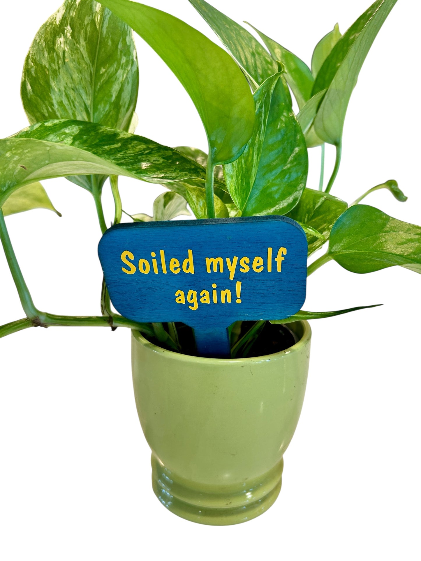 Wooden Plant Signs