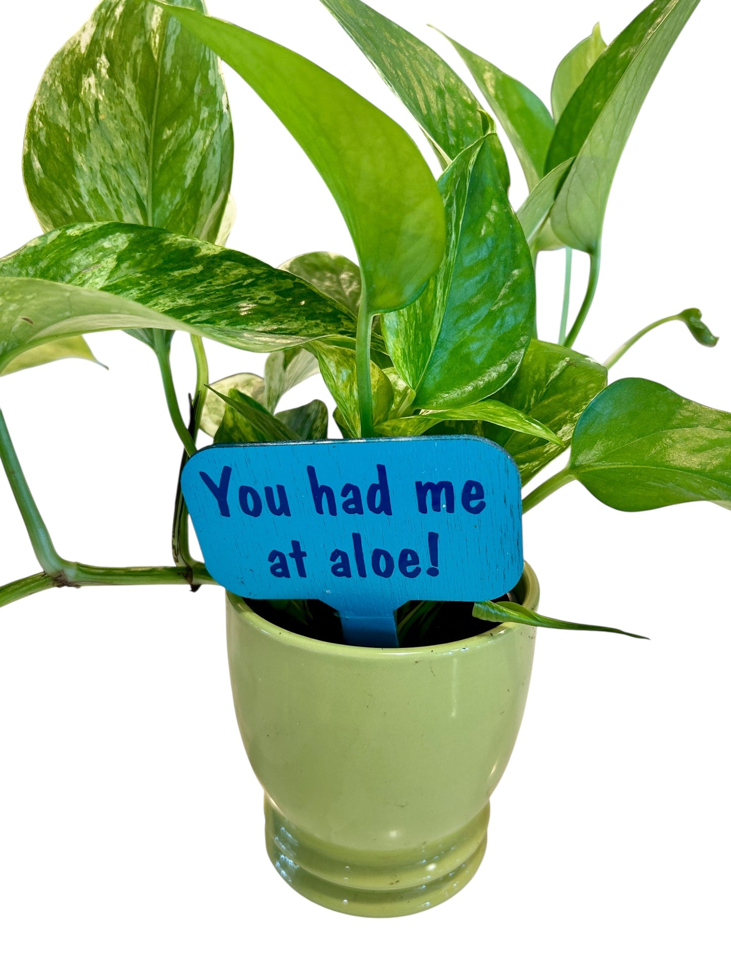 Wooden Plant Signs